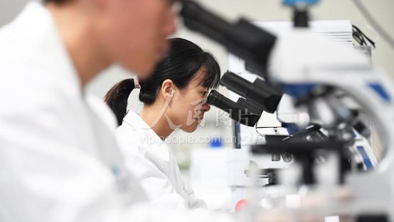 2025年，生物科技公司注册流程解析：合规与效率的平衡之道**