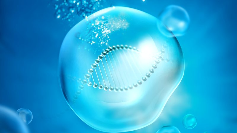 上海小分子CDMO供应商：揭秘定制研发背后的关键要素