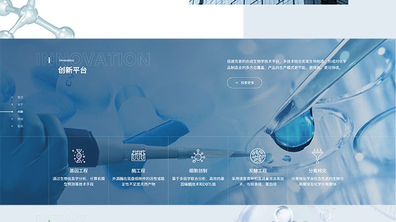 食品级酶制剂：揭秘其背后的技术奥秘与选购要点**