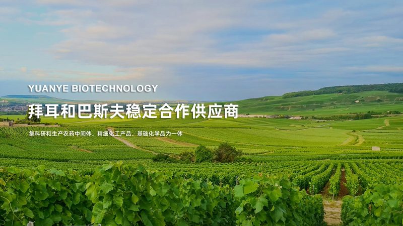 生物医药产业园选址：如何把握核心标准与规范**
