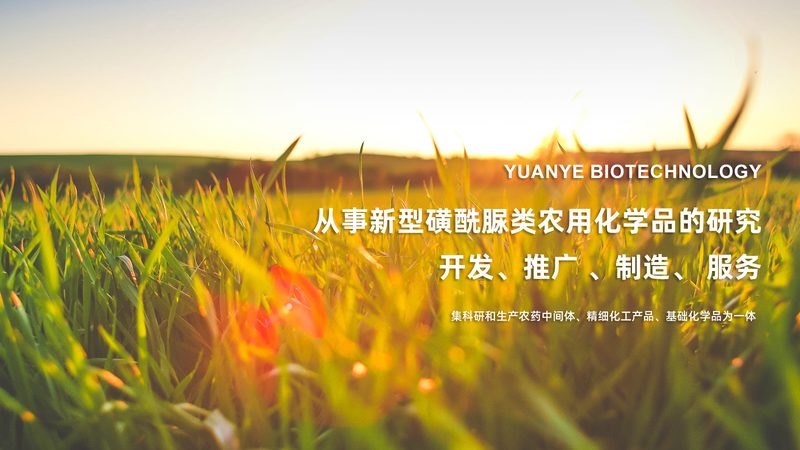 生物医药基地选址：关键因素与策略解析**