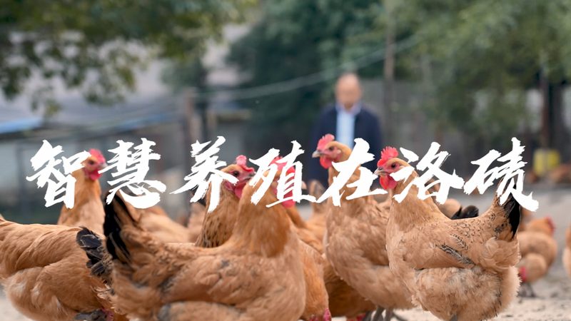 工业酶制剂：分类与型号解析**
