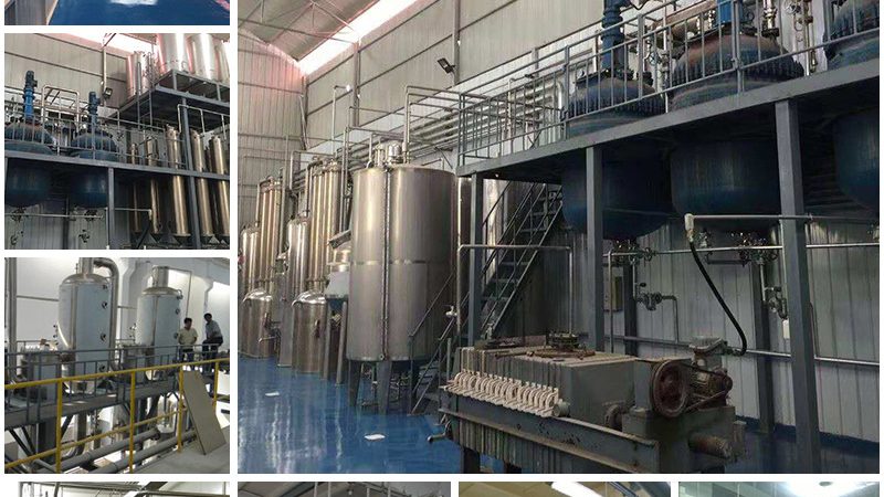 国产PCR检测仪器：揭秘其核心技术与选型要点