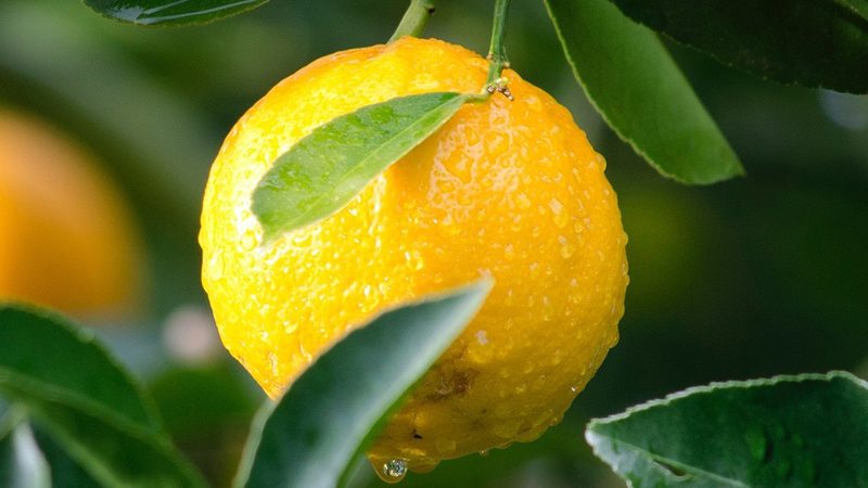 生物制品储存温度：那些不容忽视的风险点**
