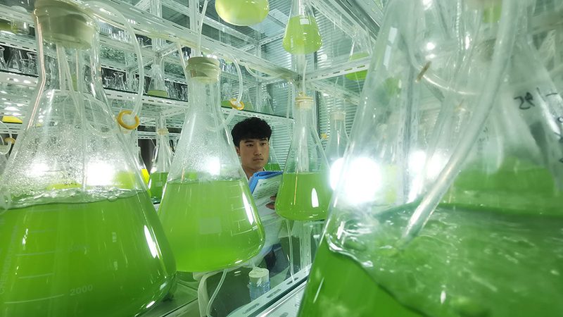 生物制品GMP认证验证：确保产品质量的坚实基石**